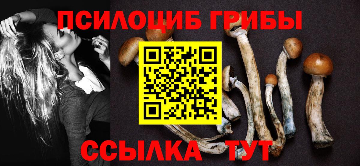 Галлюциногенные грибы GOLDEN TEACHER Пенза