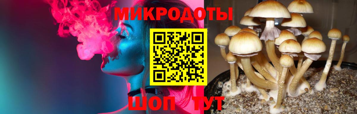 Псилоцибиновые грибы ЛСД  Вход с VPN  хочу   Пенза 